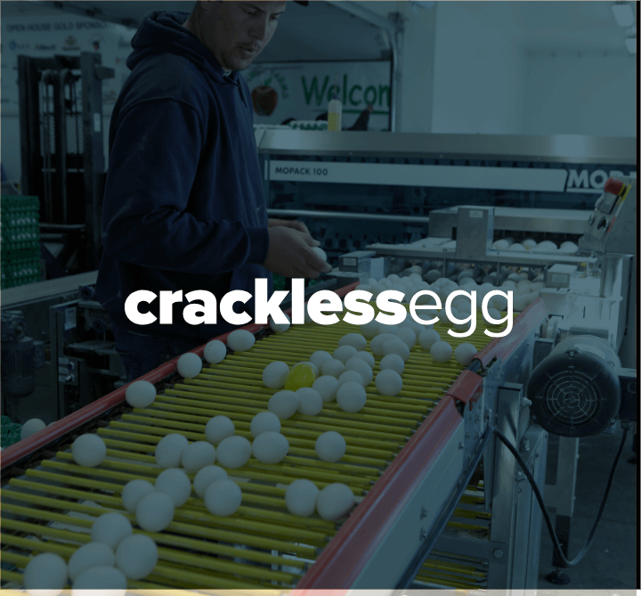 cracklessegg-logo-card